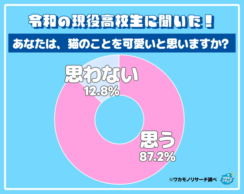 あなたは、猫のとこを可愛いと思いますか？