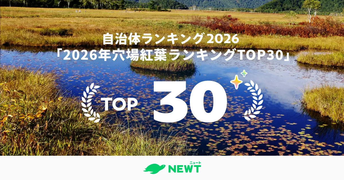 自治体ランキング2026「2026年穴場紅葉ランキングTOP30